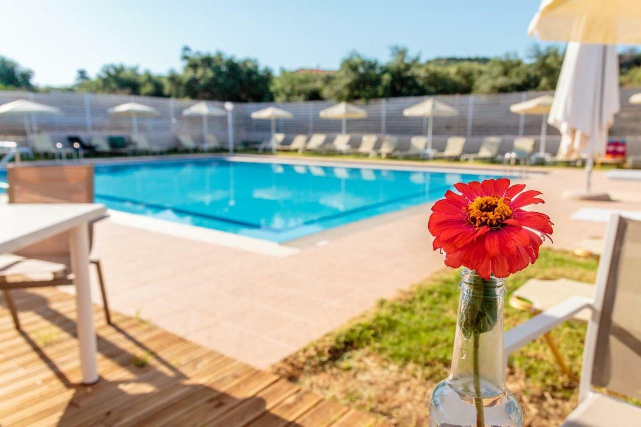 Apartament Charming And Comfy House Agia Marina Zewnętrze zdjęcie